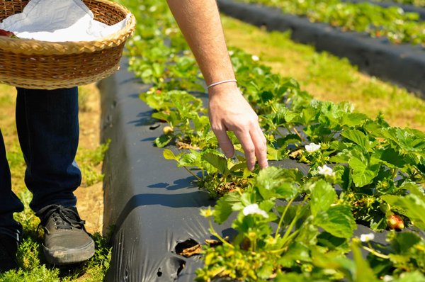 Quelles sont les différentes techniques pour effectuer un forage d'eau à domicile ?