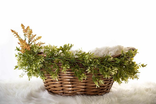 Des plantes artificielles : une option idéale pour une décoration intérieure