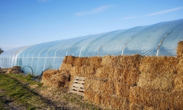 Pourquoi faut-il opter pour un tunnel de stockage dans son jardin ?