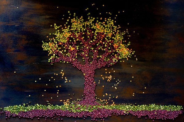 comment intégrer des plantes dans votre décoration intérieure